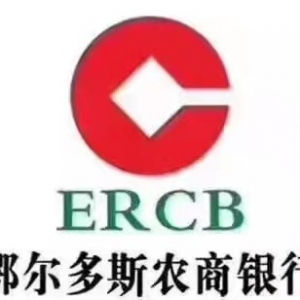 鄂爾多斯農(nóng)商銀行祥泰支行